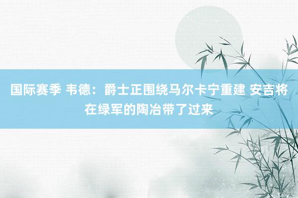 国际赛季 韦德：爵士正围绕马尔卡宁重建 安吉将在绿军的陶冶带了过来