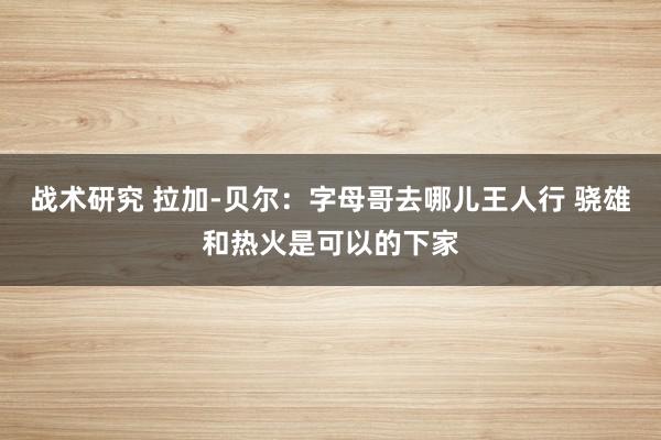 战术研究 拉加-贝尔：字母哥去哪儿王人行 骁雄和热火是可以的下家