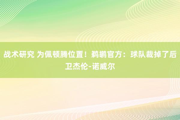 战术研究 为佩顿腾位置！鹈鹕官方：球队裁掉了后卫杰伦-诺威尔