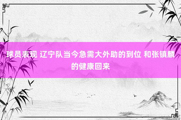 球员表现 辽宁队当今急需大外助的到位 和张镇麟的健康回来