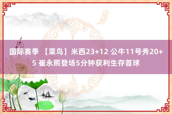 国际赛季 【菜鸟】米西23+12 公牛11号秀20+5 崔永熙登场5分钟获利生存首球