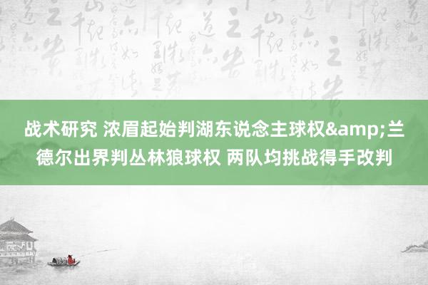 战术研究 浓眉起始判湖东说念主球权&兰德尔出界判丛林狼球权 两队均挑战得手改判